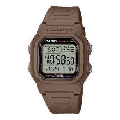 CASIO