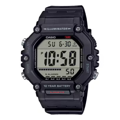 CASIO