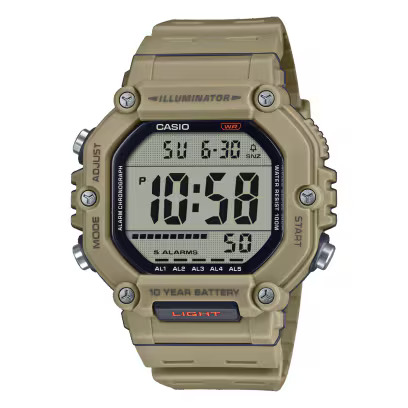CASIO